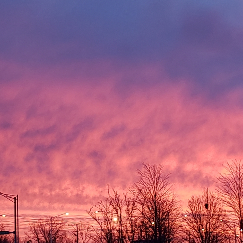 Meet your Posher, Scarlet